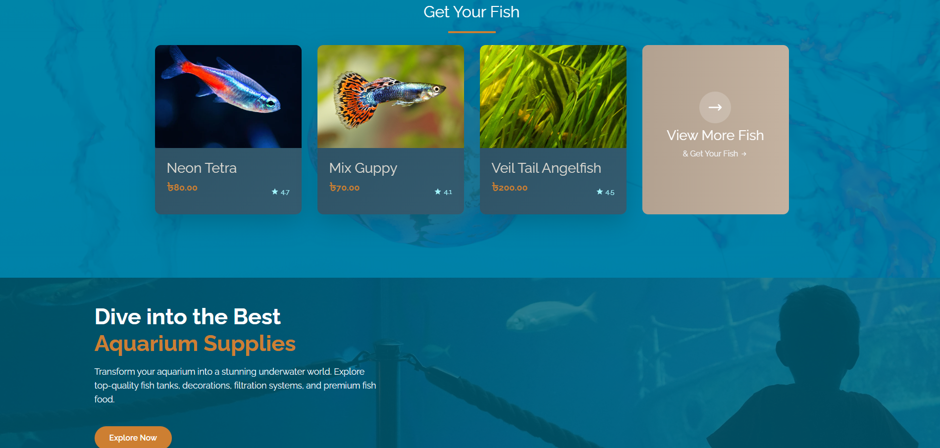 screenshot 2026 01 26 023704