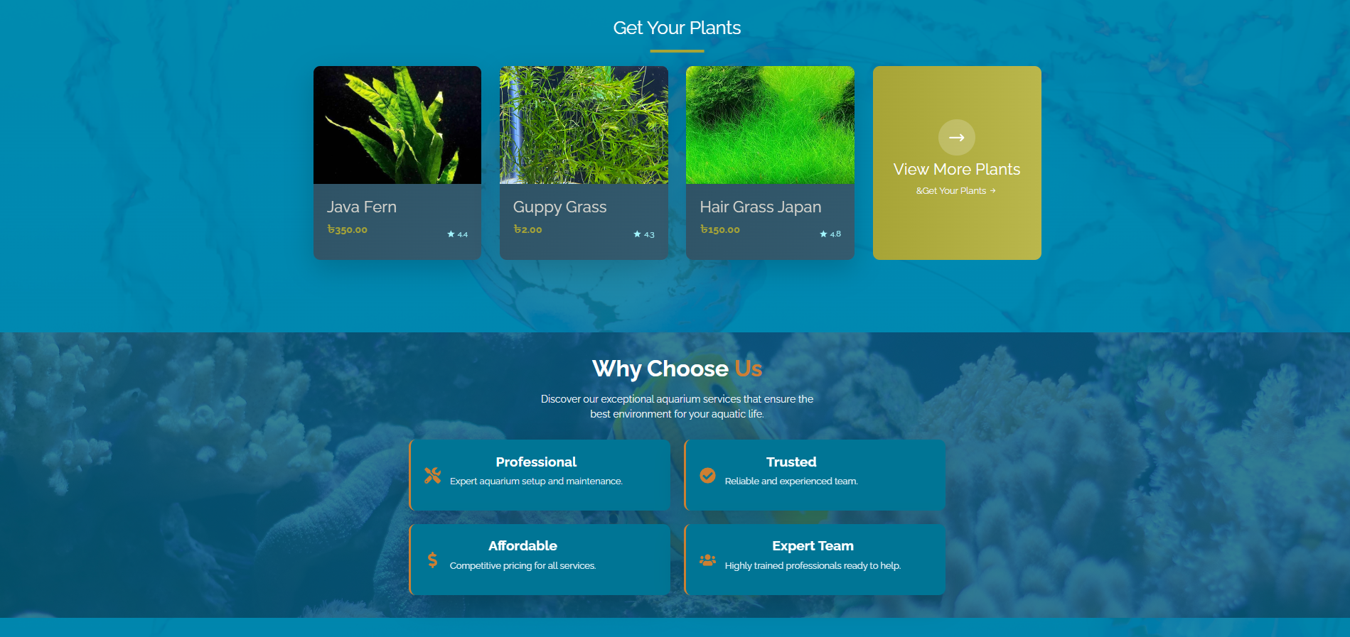 screenshot 2026 01 26 023715